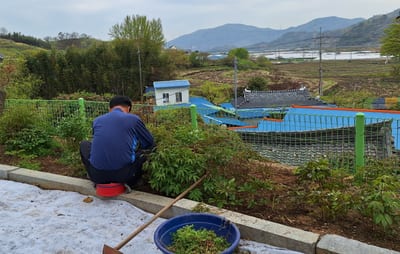 A man crouched in a field, weeding, seen from behind, with the village behind him