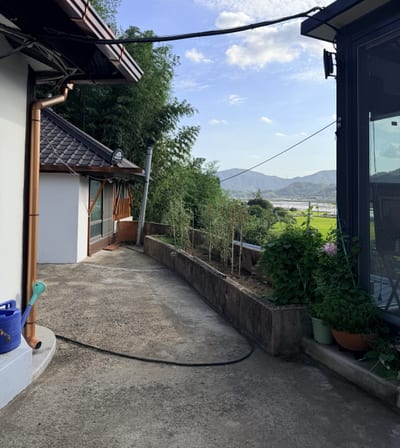 An empty yard with a garden hose trailing across it, fields and mountains beyond