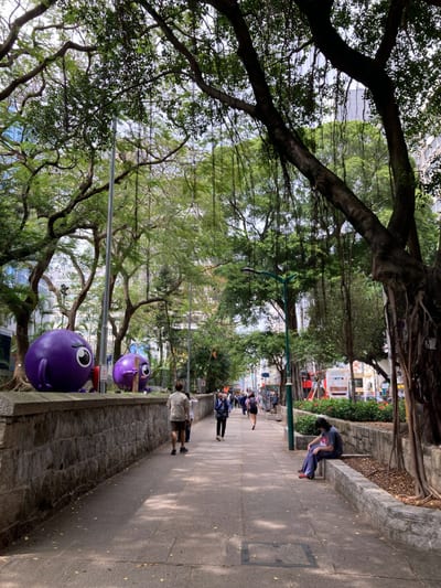 A shaded path under banyan trees, two purple sculptures on the wall